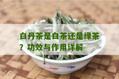 白丹茶是白茶还是绿茶？功效与作用详解