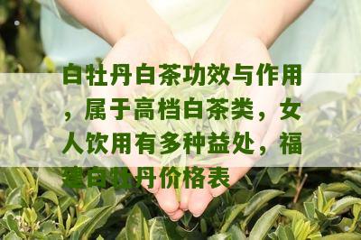 白牡丹白茶功效与作用，属于高档白茶类，女人饮用有多种益处，福建白牡丹价格表