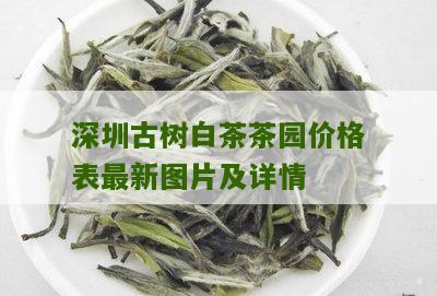 深圳古树白茶茶园价格表最新图片及详情