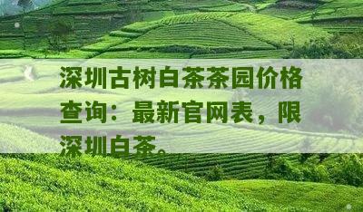 深圳古树白茶茶园价格查询：最新官网表，限深圳白茶。