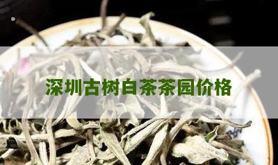 深圳古树白茶茶园价格