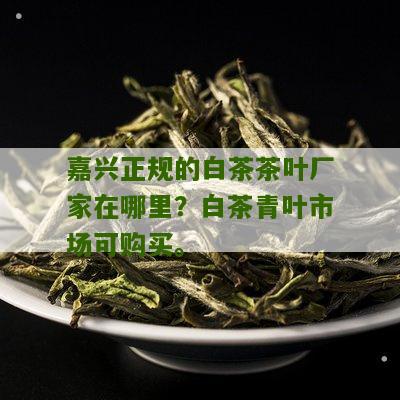 嘉兴正规的白茶茶叶厂家在哪里？白茶青叶市场可购买。