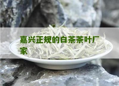 嘉兴正规的白茶茶叶厂家