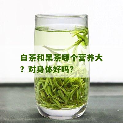 白茶和黑茶哪个营养大？对身体好吗？