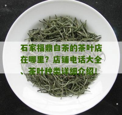 石家福鼎白茶的茶叶店在哪里？店铺电话大全、茶叶种类详细介绍！