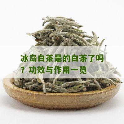 冰岛白茶是的白茶了吗？功效与作用一览