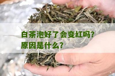 白茶泡好了会变红吗？原因是什么？