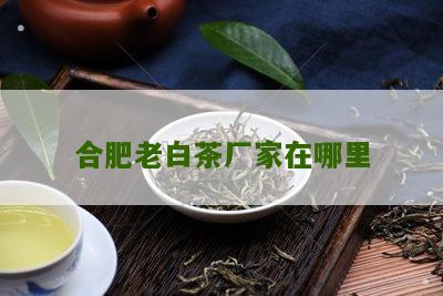 合肥老白茶厂家在哪里