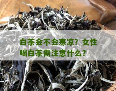 白茶会不会寒凉？女性喝白茶需注意什么？