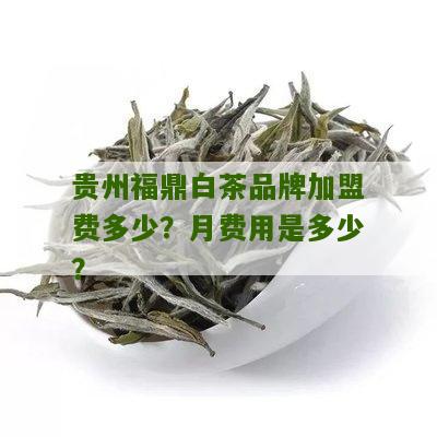 贵州福鼎白茶品牌加盟费多少？月费用是多少？