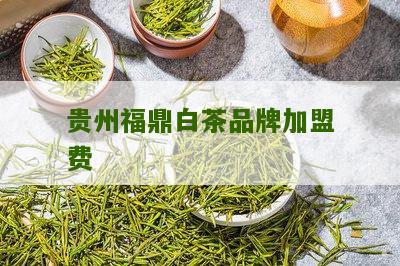 贵州福鼎白茶品牌加盟费