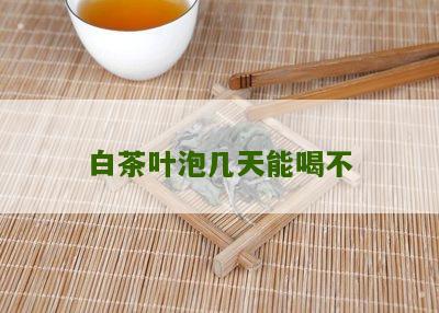 白茶叶泡几天能喝不