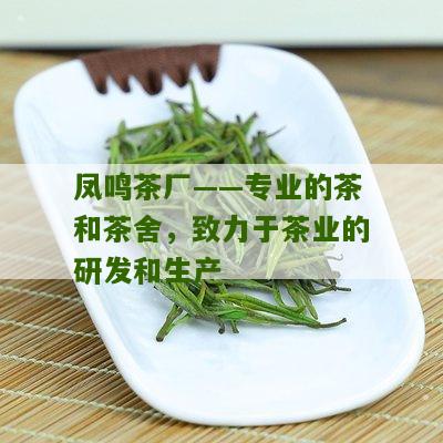 凤鸣茶厂——专业的茶和茶舍，致力于茶业的研发和生产