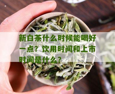 新白茶什么时候能喝好一点？饮用时间和上市时间是什么？