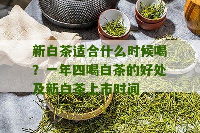 新白茶适合什么时候喝？一年四喝白茶的好处及新白茶上市时间