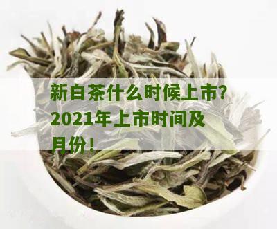 新白茶什么时候上市？2021年上市时间及月份！