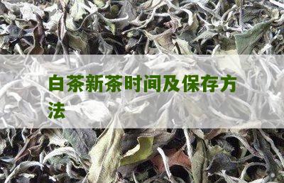 白茶新茶时间及保存方法