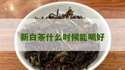 新白茶什么时候能喝好