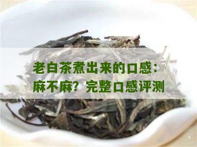 老白茶煮出来的口感：麻不麻？完整口感评测