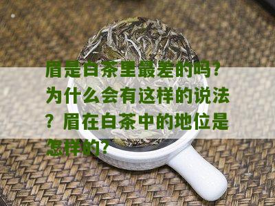 眉是白茶里最差的吗？为什么会有这样的说法？眉在白茶中的地位是怎样的？