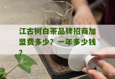 江古树白茶品牌招商加盟费多少？一年多少钱？