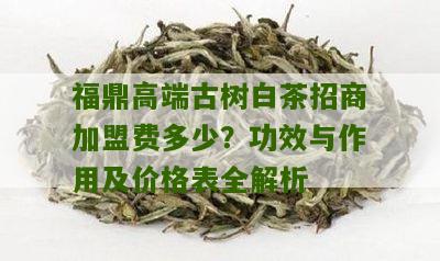 福鼎高端古树白茶招商加盟费多少？功效与作用及价格表全解析