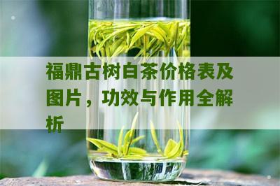 福鼎古树白茶价格表及图片，功效与作用全解析