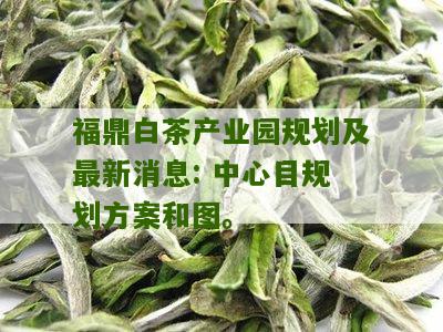 福鼎白茶产业园规划及最新消息: 中心目规划方案和图。