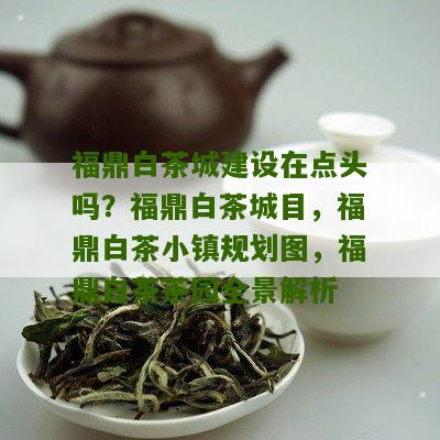 福鼎白茶城建设在点头吗？福鼎白茶城目，福鼎白茶小镇规划图，福鼎白茶茶园全景解析