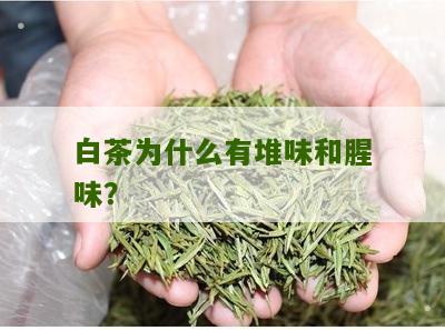 白茶为什么有堆味和腥味？