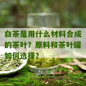 白茶是用什么材料合成的茶叶？原料和茶叶罐如何选择？