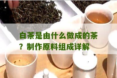 白茶是由什么做成的茶？制作原料组成详解