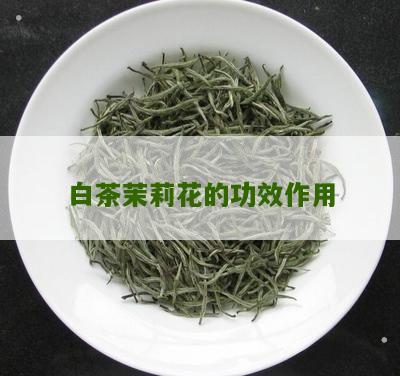 白茶茉莉花的功效作用