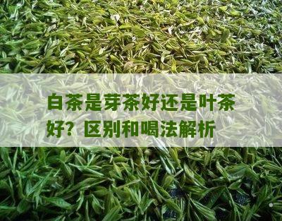 白茶是芽茶好还是叶茶好？区别和喝法解析