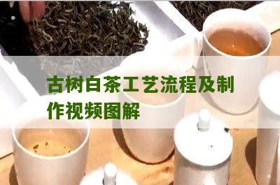 古树白茶工艺流程及制作视频图解