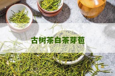 古树茶白茶芽苞