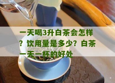 一天喝3升白茶会怎样？饮用量是多少？白茶一天一杯的好处