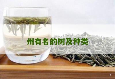 州有名的树及种类