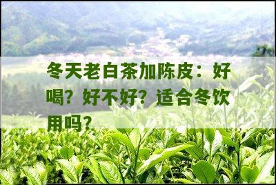 冬天老白茶加陈皮：好喝？好不好？适合冬饮用吗？