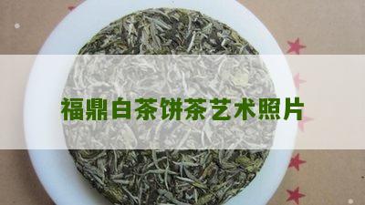 福鼎白茶饼茶艺术照片