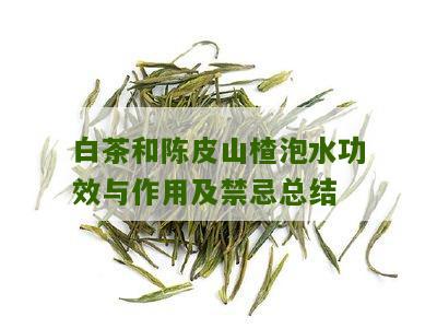 白茶和陈皮山楂泡水功效与作用及禁忌总结