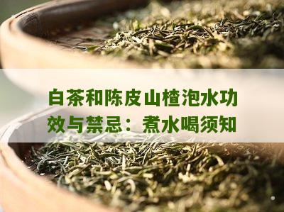 白茶和陈皮山楂泡水功效与禁忌：煮水喝须知