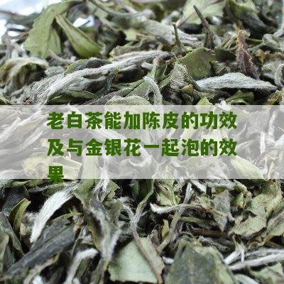 老白茶能加陈皮的功效及与金银花一起泡的效果