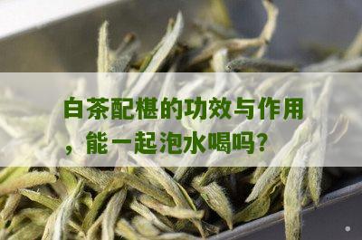 白茶配椹的功效与作用，能一起泡水喝吗？