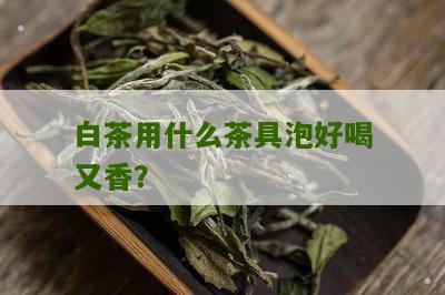 白茶用什么茶具泡好喝又香？