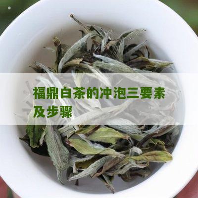 福鼎白茶的冲泡三要素及步骤