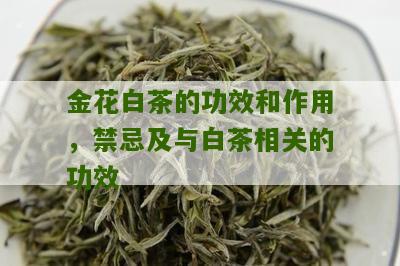 金花白茶的功效和作用，禁忌及与白茶相关的功效