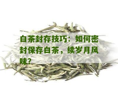 白茶封存技巧：如何密封保存白茶，续岁月风味？