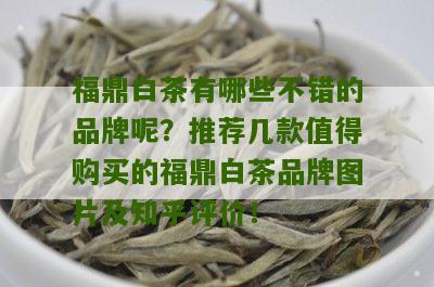 福鼎白茶有哪些不错的品牌呢？推荐几款值得购买的福鼎白茶品牌图片及知乎评价！