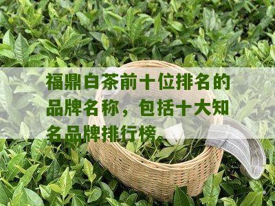 福鼎白茶前十位排名的品牌名称，包括十大知名品牌排行榜。